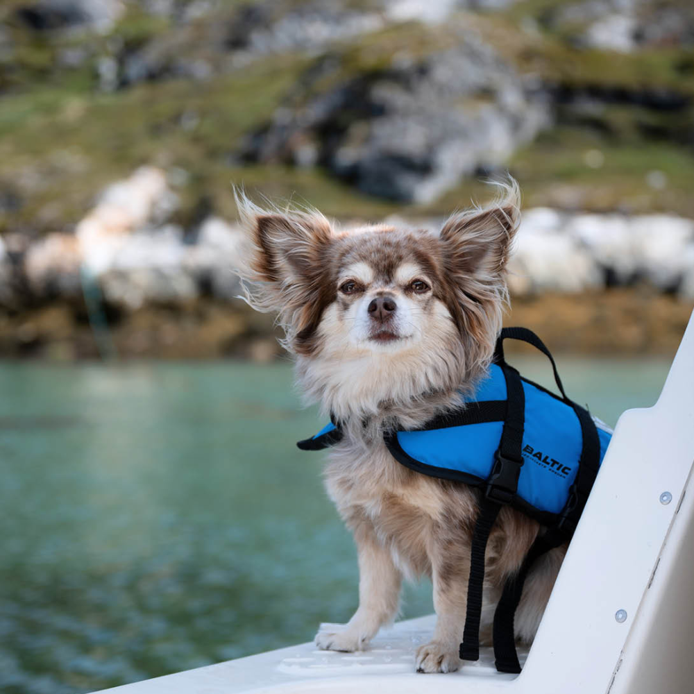 The Baltic Pluto Blue Dog Buoyancy Aid for Kayaking