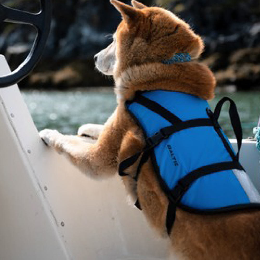 The Baltic Pluto Blue Dog Buoyancy Aid for Kayaking