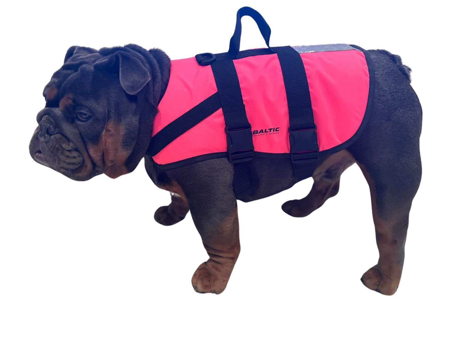 The Baltic Pluto Pink Dog Buoyancy Aid for Kayaking